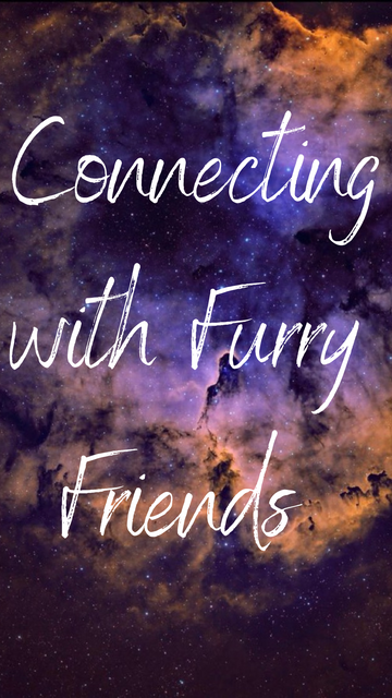 Furry Friends (Virtual)